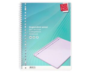 Ringbandblok A4 lijn