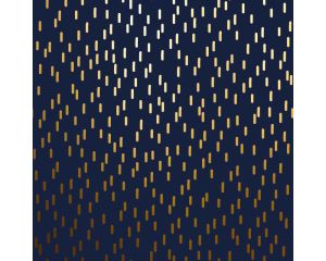 Toonbankrol Golden Rain 100mx30cm