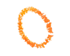Hawaii Krans Oranje