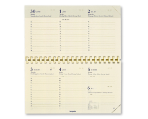 Vulling Omniplan - 1 week per 2 pagina's