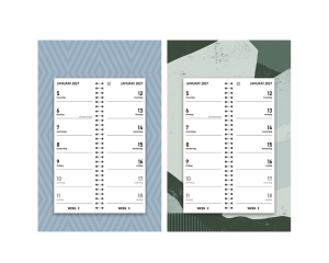 Wandkalender Modern - 2 weken overzicht