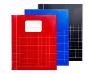 Schrift A5 ruit 10mm