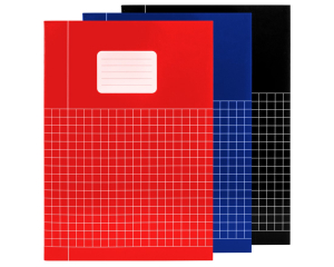 Schrift A4 ruit 10mm