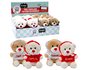 Knuffelbeer + Hoodie Liefste Juf / Bedankt - 12cm