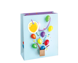 Geschenktas Surprise Party M