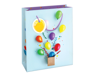 Geschenktas Surprise Party L