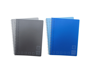 2-pak Collegeblok PP A4 ruit 10mm