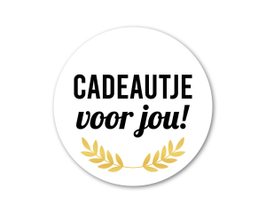 Rol etiketten Cadeautje voor jou! - 500 stuks
