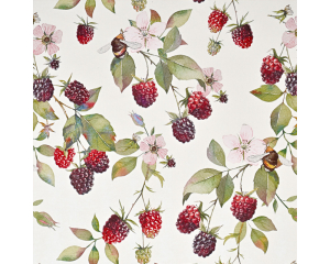 Toonbankrol Bramen 150mx50cm