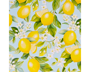 Toonbankrol Citroenen 150mx30cm