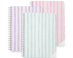 Collegeblok 23 rings A4 lijn Stripes