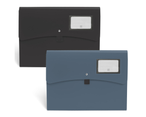 Harmonicamap PP Blaze